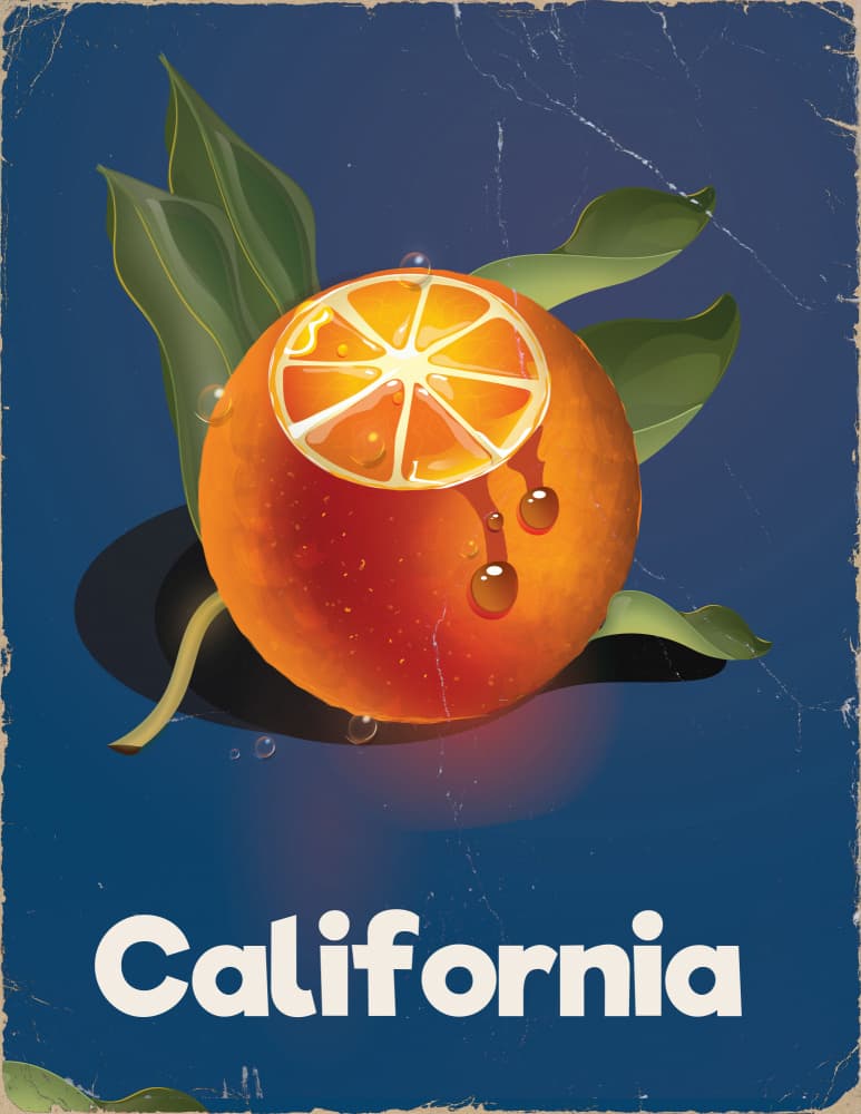 Juicy California Orange by Nicholas — canvas wall art