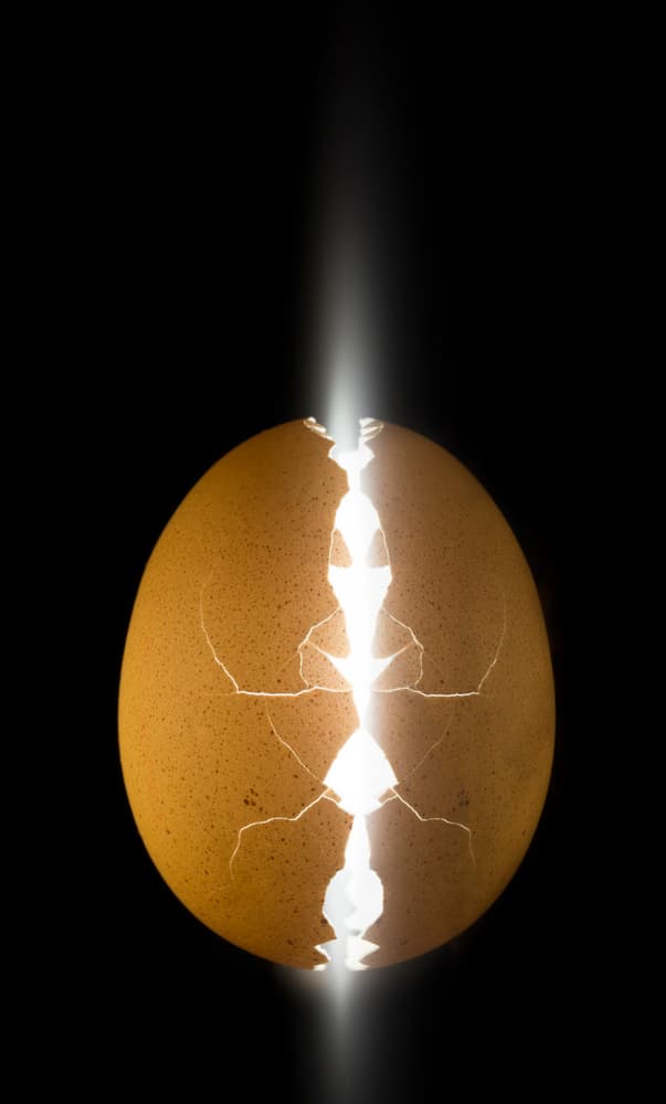 Emerging Light Egg by Wieteke de Kogel — canvas wall art