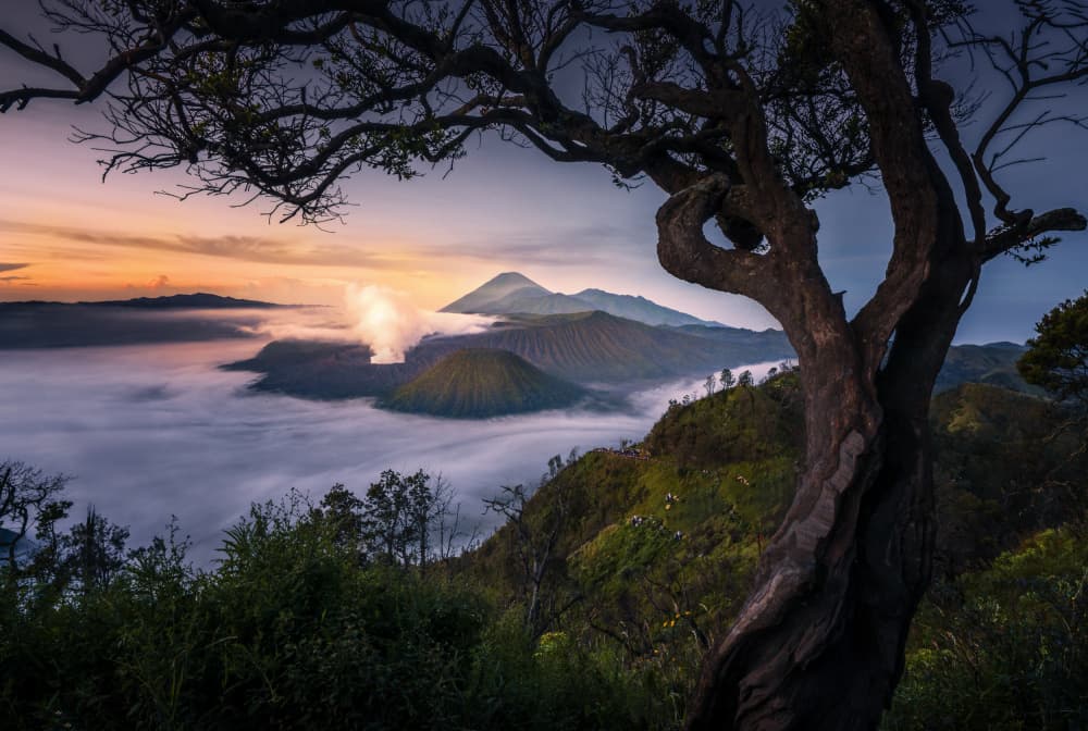 Mount Bromo Dawn Fog by Ling Jiang — canvas wall art