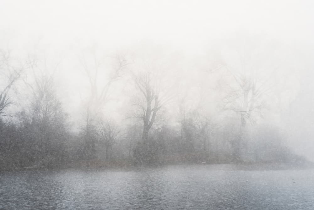 Misty Winter Trees by Imaginative — canvas wall art