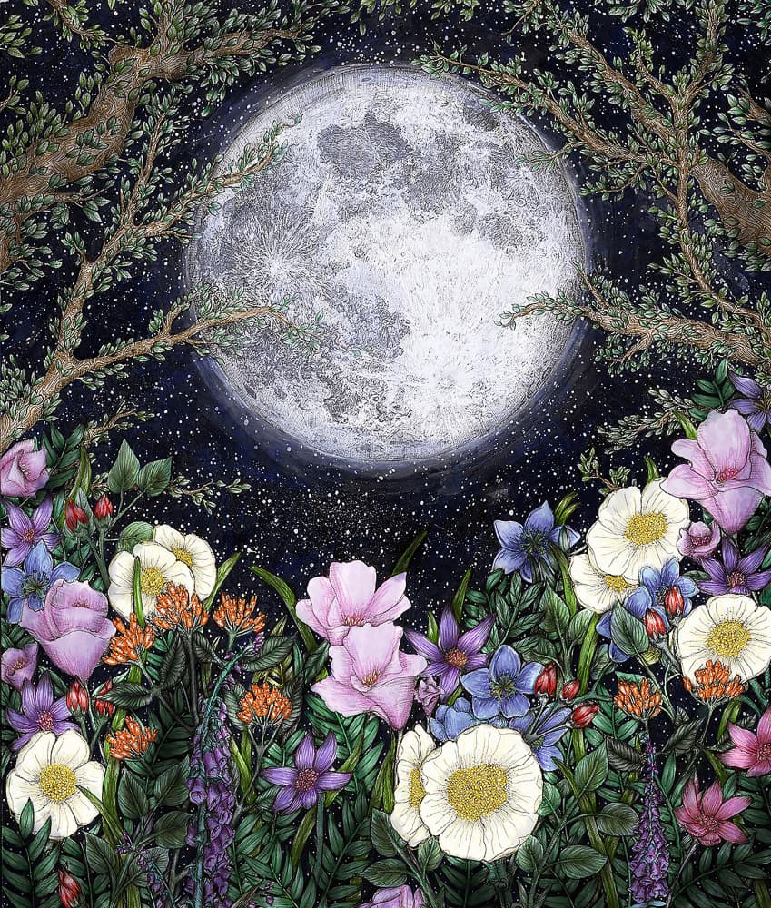 Moonlit Garden Flowers by EC Mazur — canvas wall art