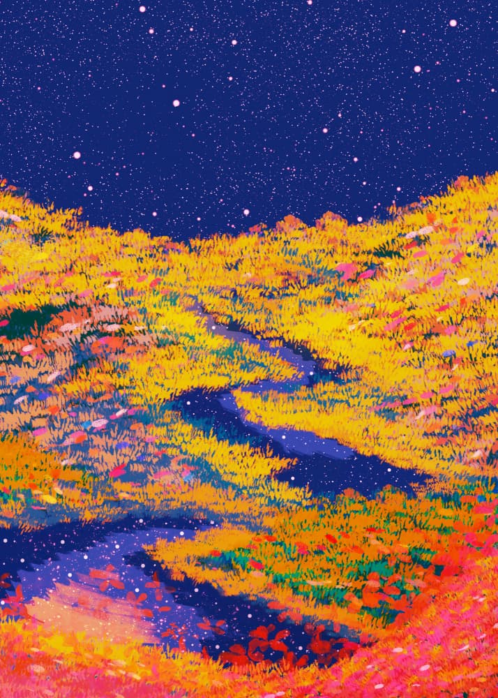 Starry Night Path by Stephen Wade — canvas wall art