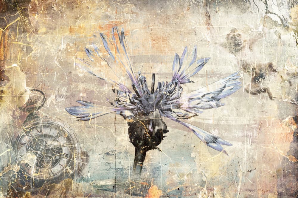 Dreamy Vintage Cornflower by Rafal Kulik — canvas wall art