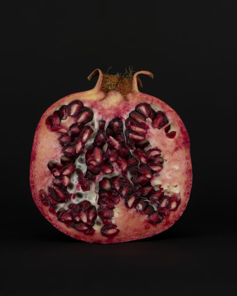 Ruby Red Pomegranate by Lynann Colligan — canvas wall art