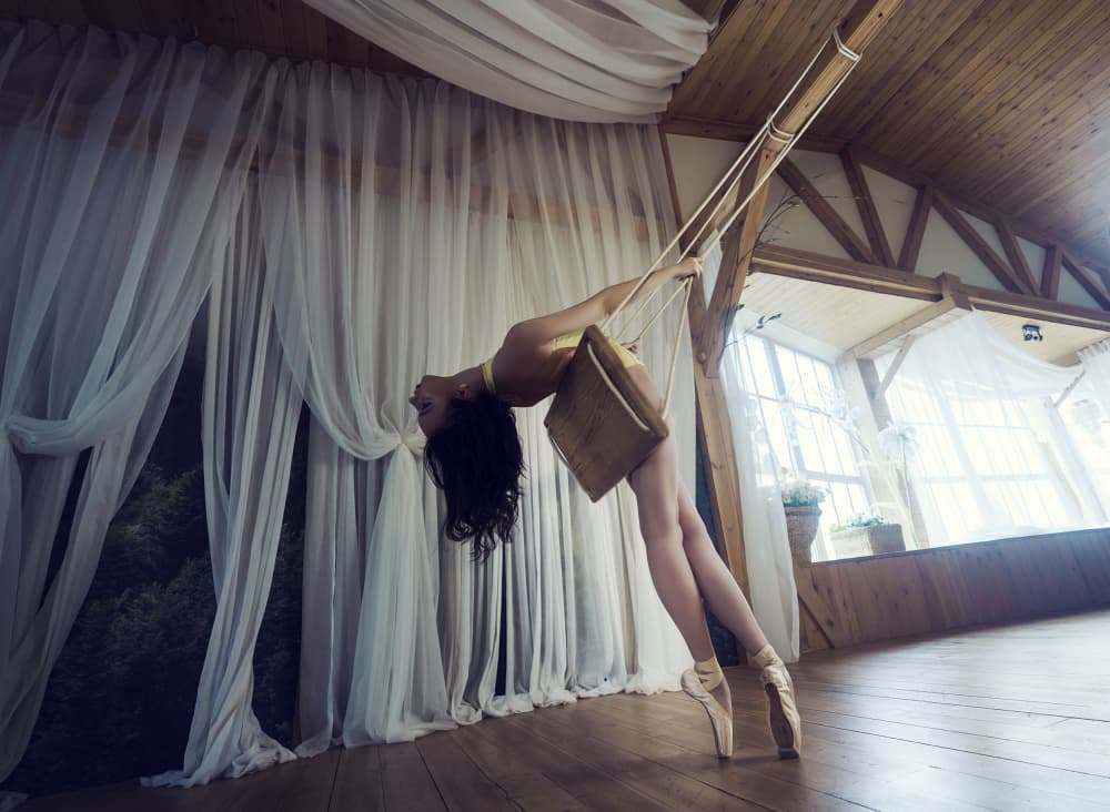 Graceful Aerial Ballerina by Alexandr — canvas wall art