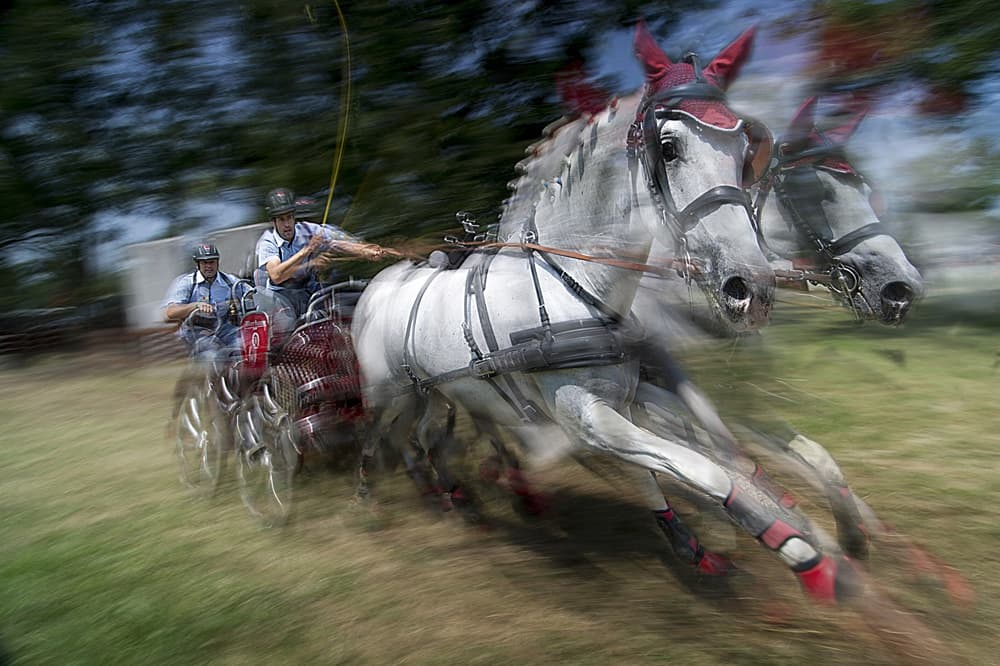 Speeding Horse Carriage by Milan Malovrh — canvas wall art