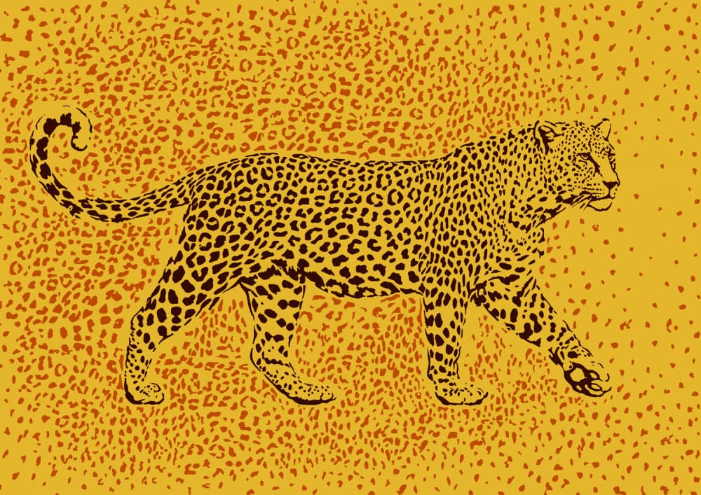 Golden Spotted Leopard by Carlo Kaminski — canvas wall art