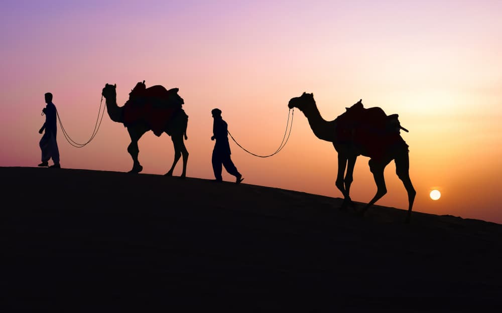 Desert Sunset Journey by Ajit Kumar Majhi — canvas wall art