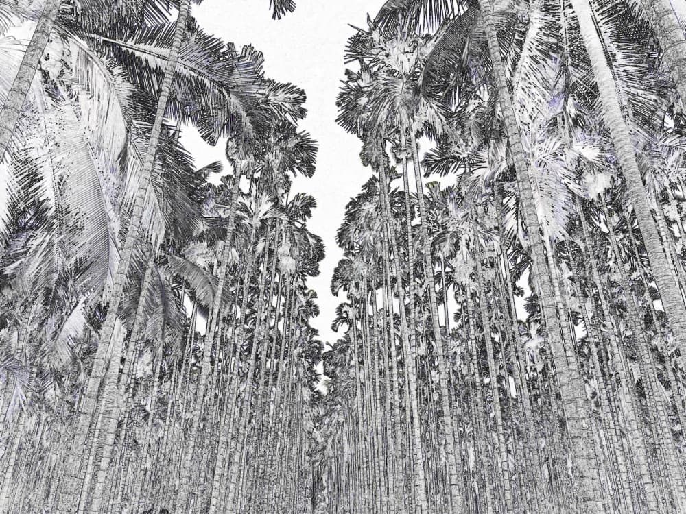 Vertical Palm Tree Grove by Santhosh ch — canvas wall art