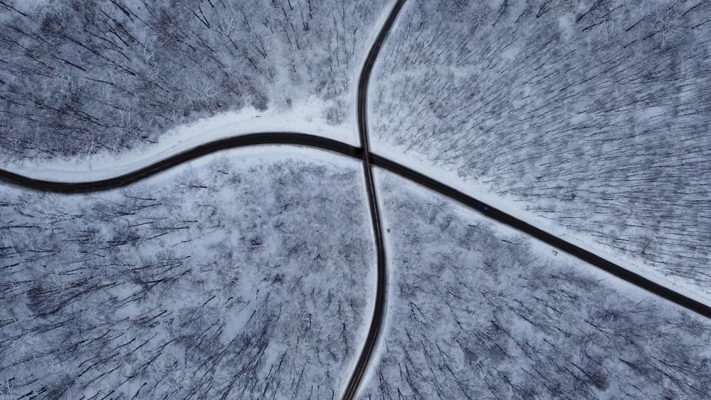 Snowy Forest Intersection by Mihai Bogdan R — canvas wall art