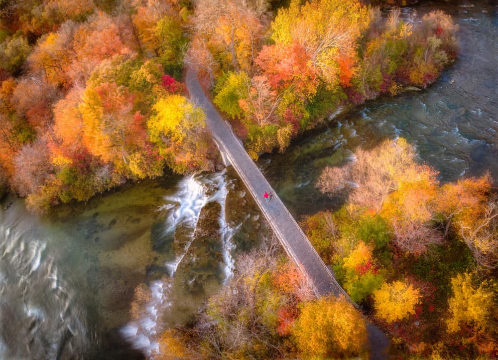 Vibrant Autumn Bridge Walk by Ling Lu — canvas wall art