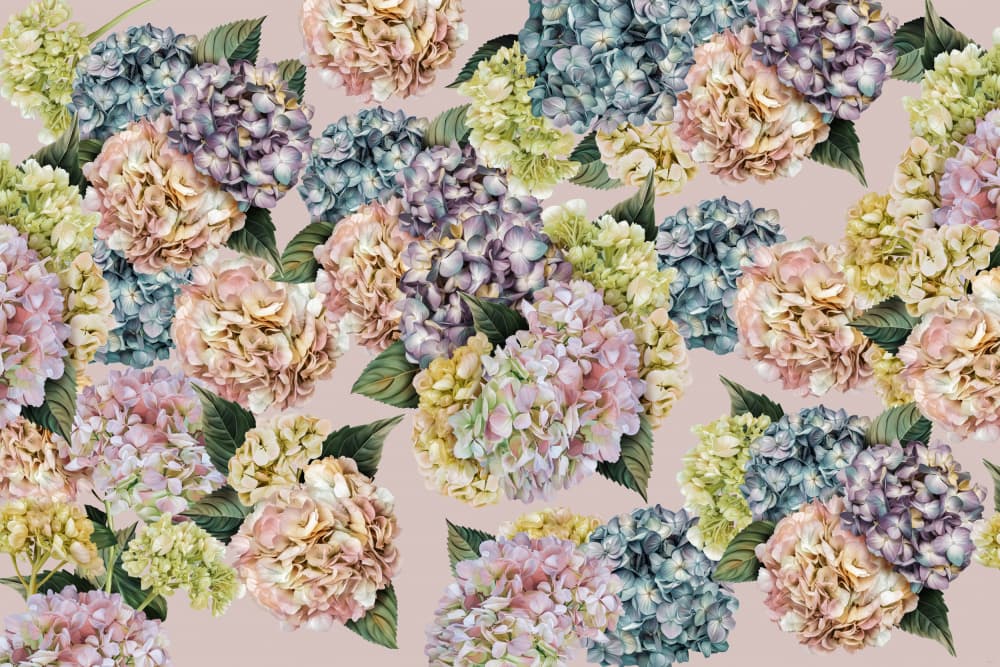 Soft Pastel Hydrangeas by Sue Skellern — canvas wall art