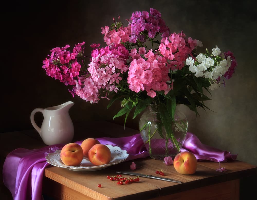 Vibrant Phlox and Peaches by Tatyana Skorokhod — canvas wall art