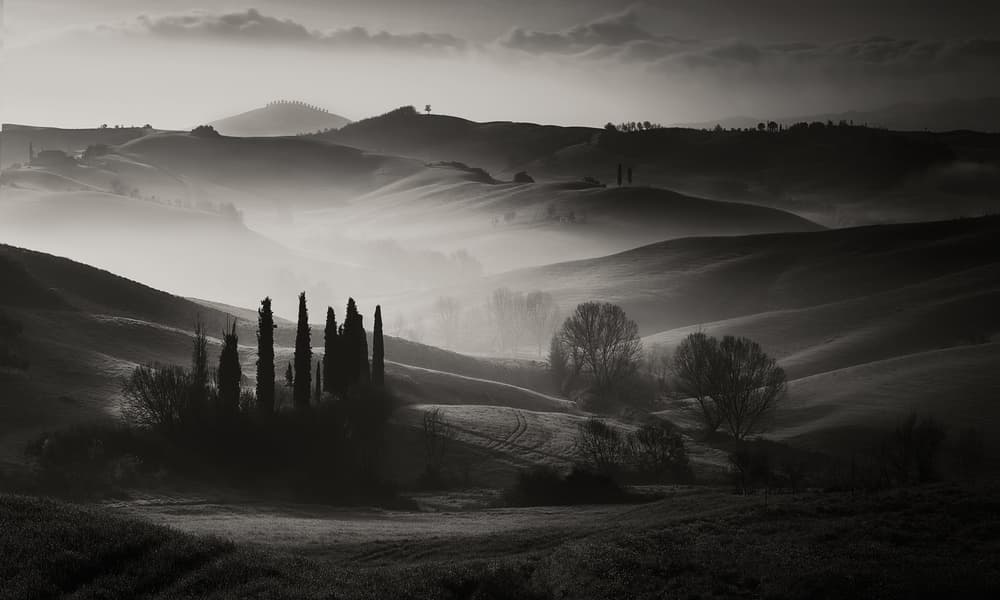 Cypress Hills Morning Mist by Fabrizio Massetti — canvas wall art