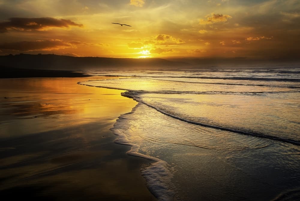 Golden Beach Sunset by Jose C. Lobato — canvas wall art