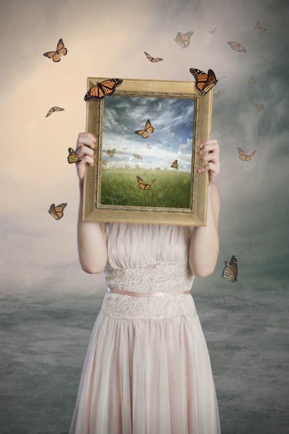 Butterflies Dreamscape Frame by Baden Bowen — canvas wall art