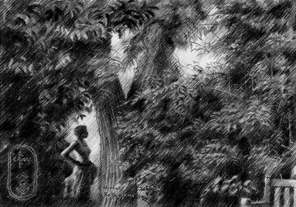 Woman In Garden Light by Corné Akkers — canvas wall art