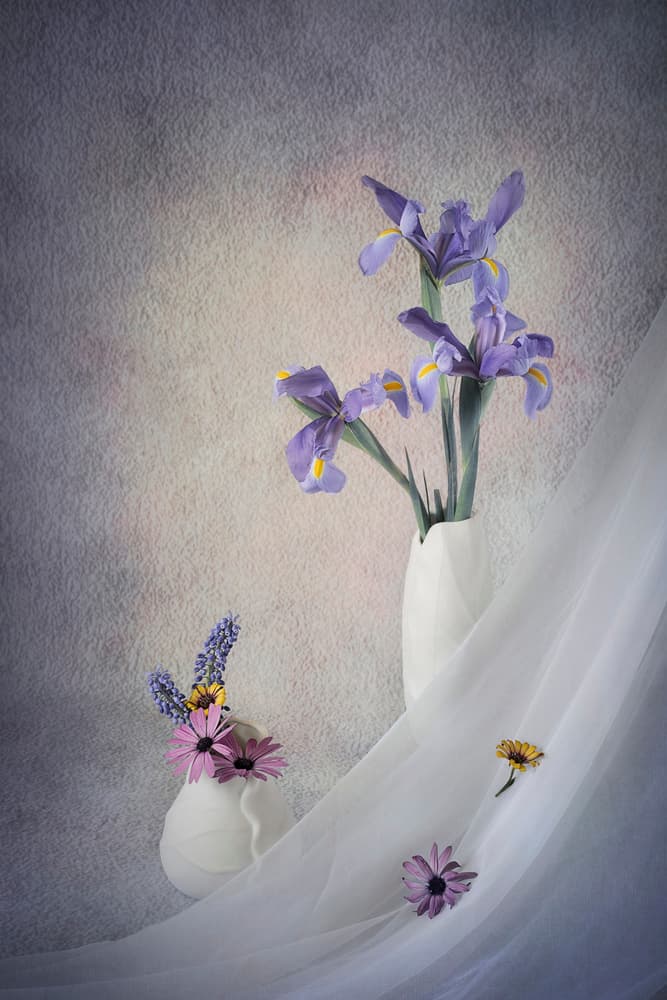 Purple Irises Still Life by Lydia Jacobs — canvas wall art