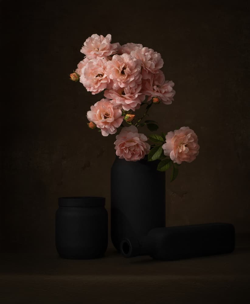 Moody Pink Roses by Margareth Perfoncio — canvas wall art