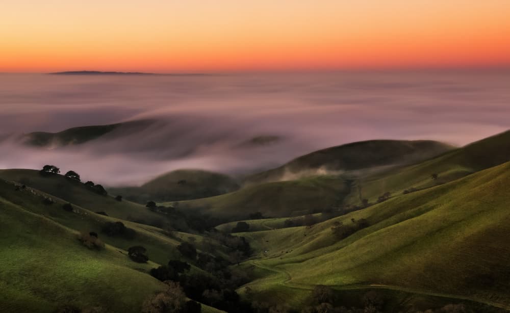 Serene Foggy Valley Dawn by Jenny Qiu — canvas wall art