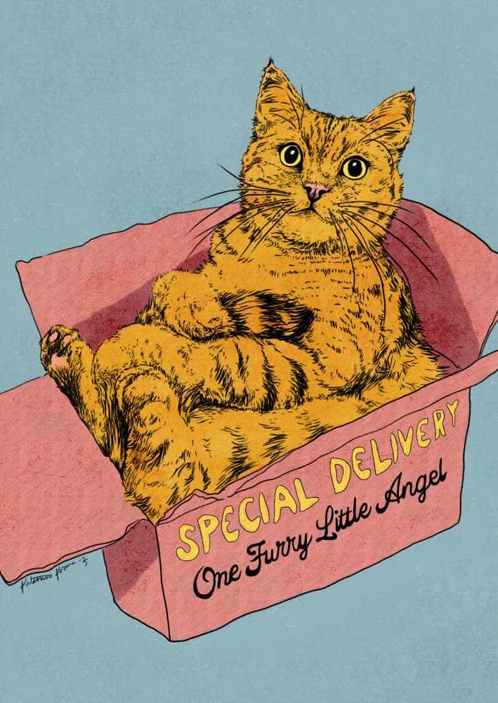 Special Delivery Cat by Katariina Kosunen — canvas wall art
