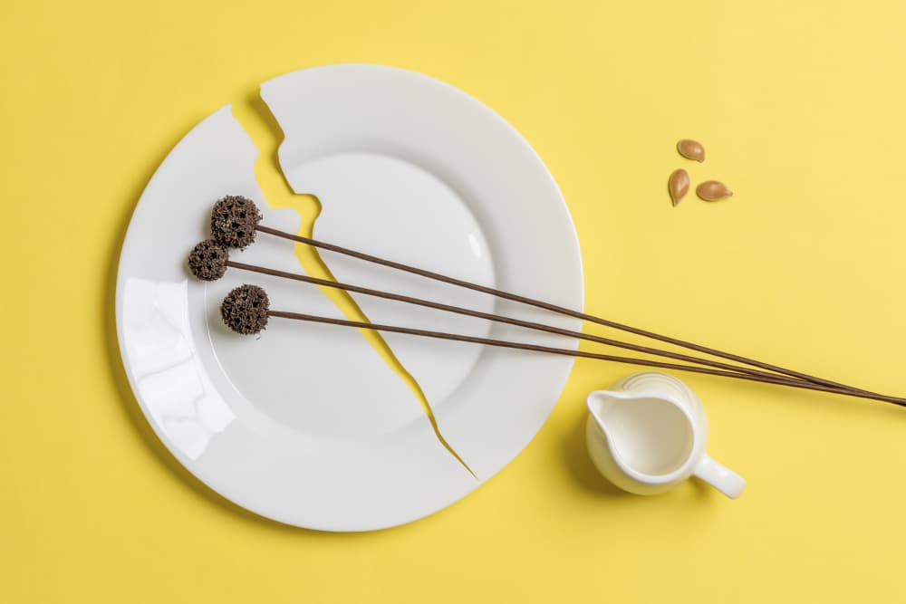 Sweet Broken Plate by Refat — canvas wall art