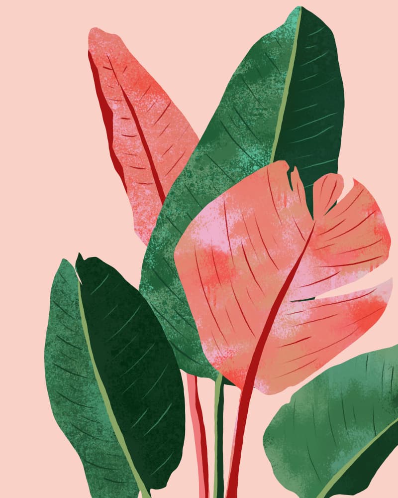 Vibrant Tropical Leaves by Uma Gokhale — canvas wall art