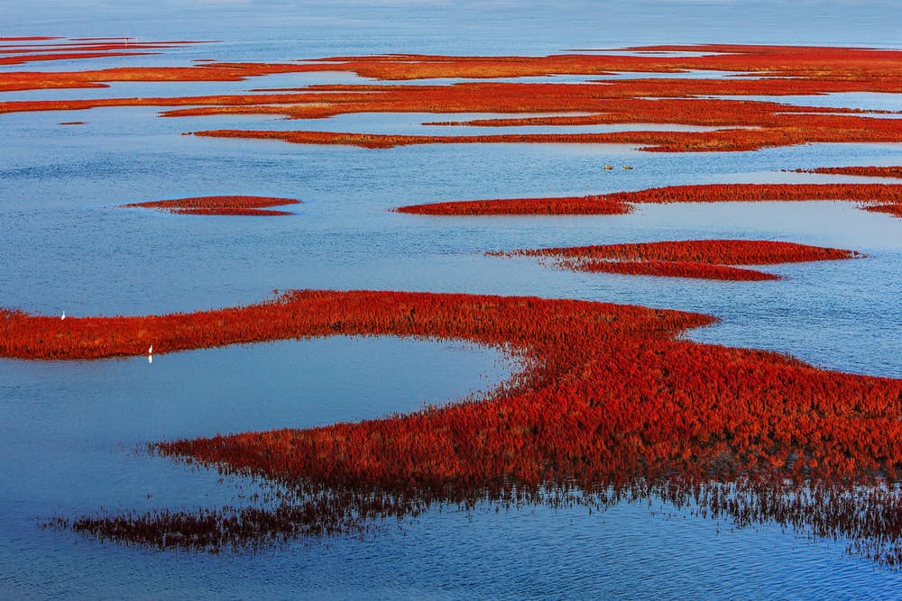 Red Shoreline Serenity by Shin Woo Ryu — canvas wall art