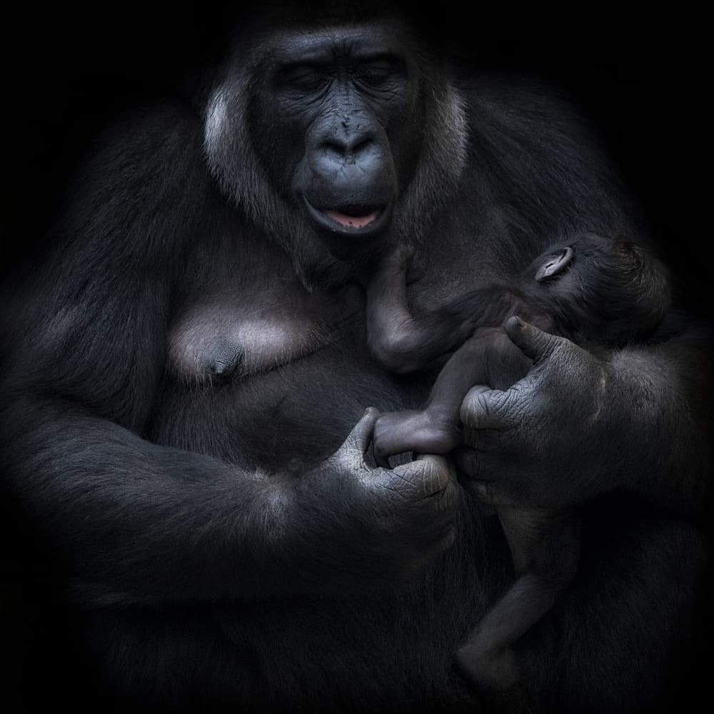 Mother's Tender Hold by Sergio Saavedra Ruiz — canvas wall art
