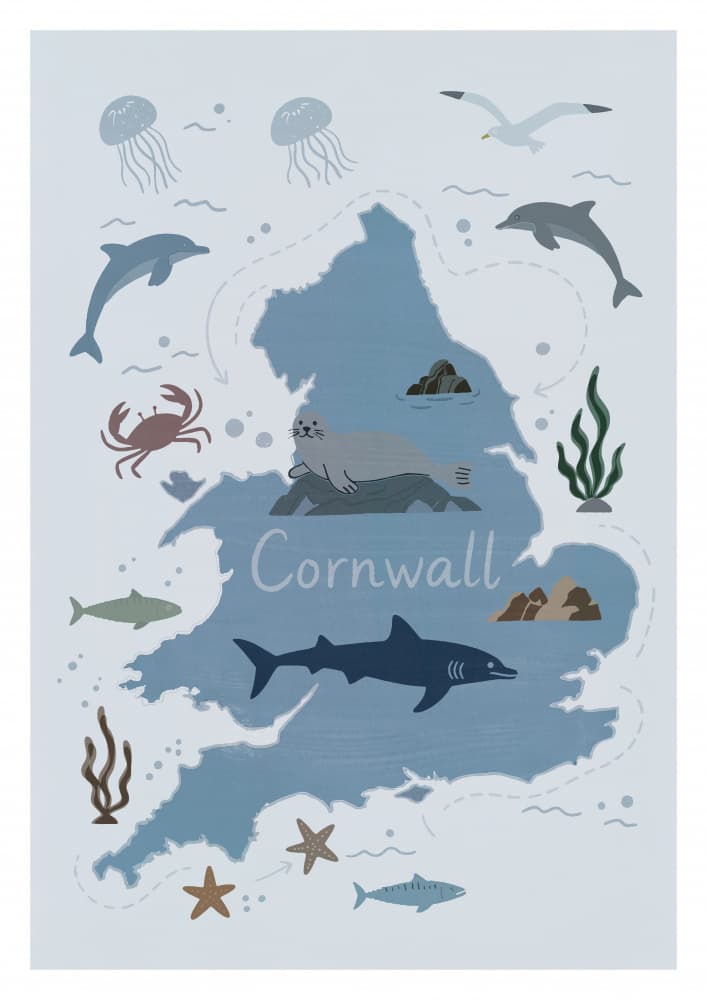 Cornwall Sea Life Map by casa cartissi — canvas wall art