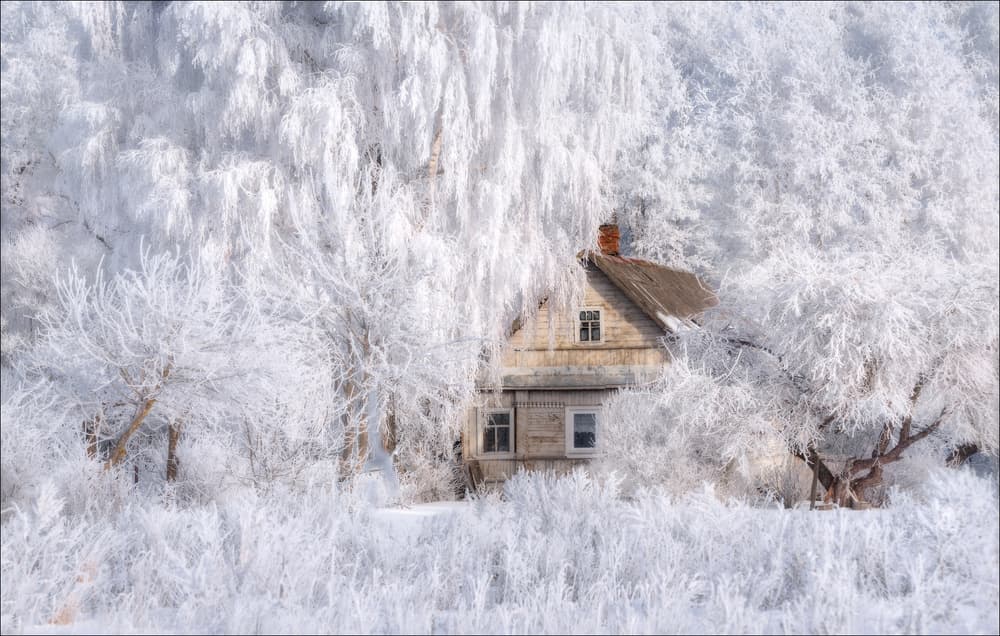 Frosted Winter House by Vlad Sokolovsky — canvas wall art