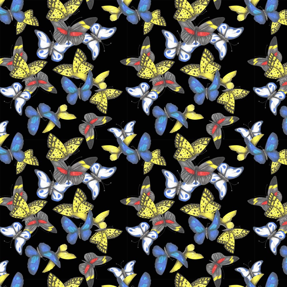 Colorful Butterflies Pattern by Cecilia Battaini — canvas wall art