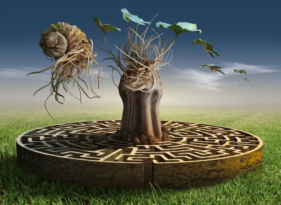 Dreamscape Labyrinth by Radoslav Penchev — canvas wall art