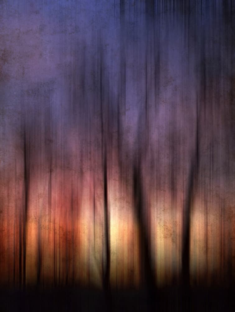 Abstract Forest Sunset by Angelo Cerantola — canvas wall art