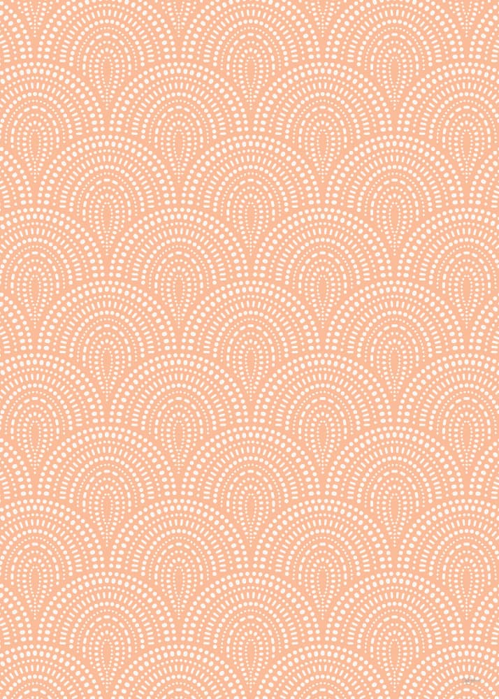 Soft Peach Scallops by Sue Skellern — canvas wall art