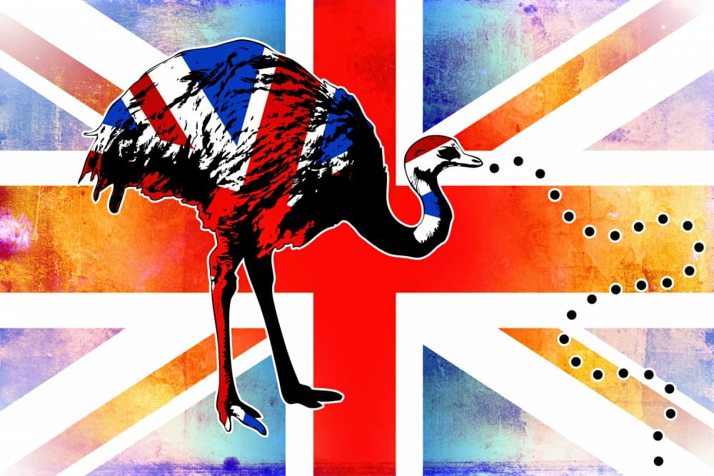 Grunge Emu Union Jack by Rafal Kulik — canvas wall art