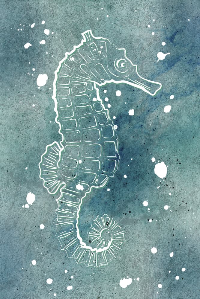 Serene Watercolor Seahorse by Martina — canvas wall art