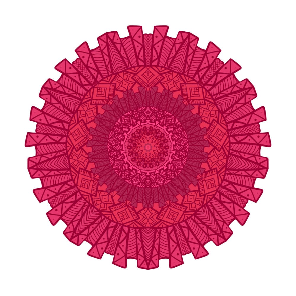 Ornate Pink Mandala by Marika Barsrsind — canvas wall art