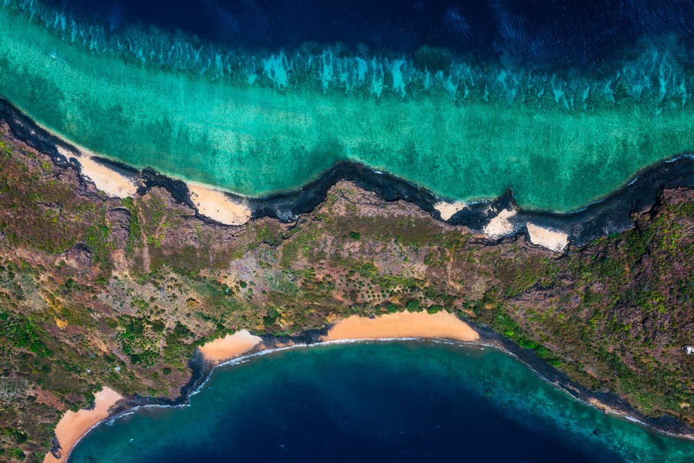 Vibrant Tropical Coastline by Barathieu Gabriel — canvas wall art