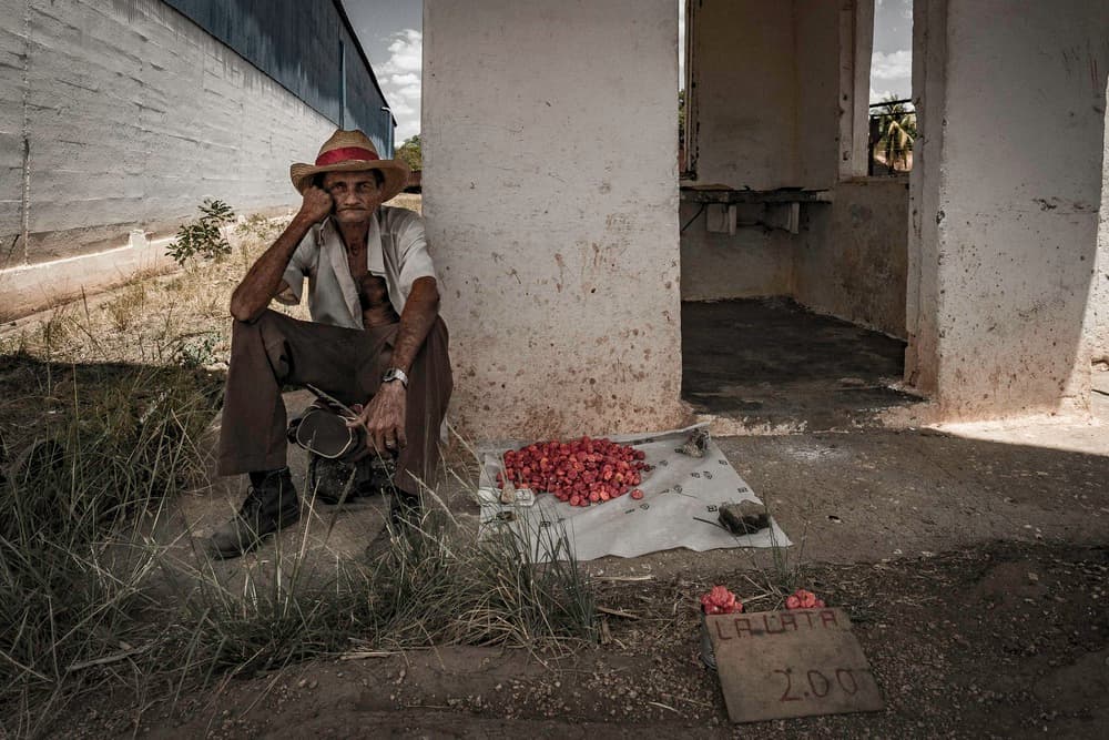 Rural Fruit Vendor by Andy Bauer — canvas wall art