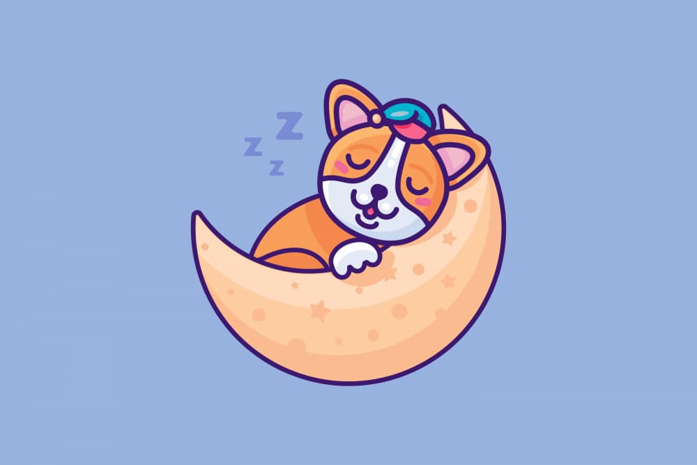 Corgi Sleeping On Moon by Marika Barsrsind — canvas wall art
