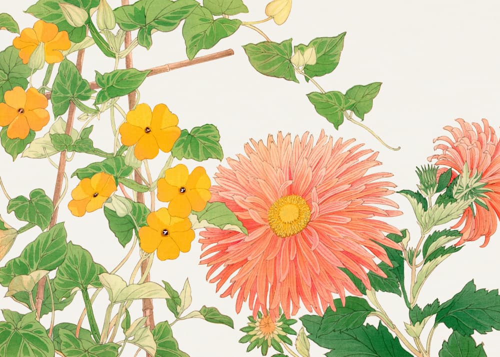 Thunbergia & Aster Flower No2 by Tanigami Konan — canvas wall art