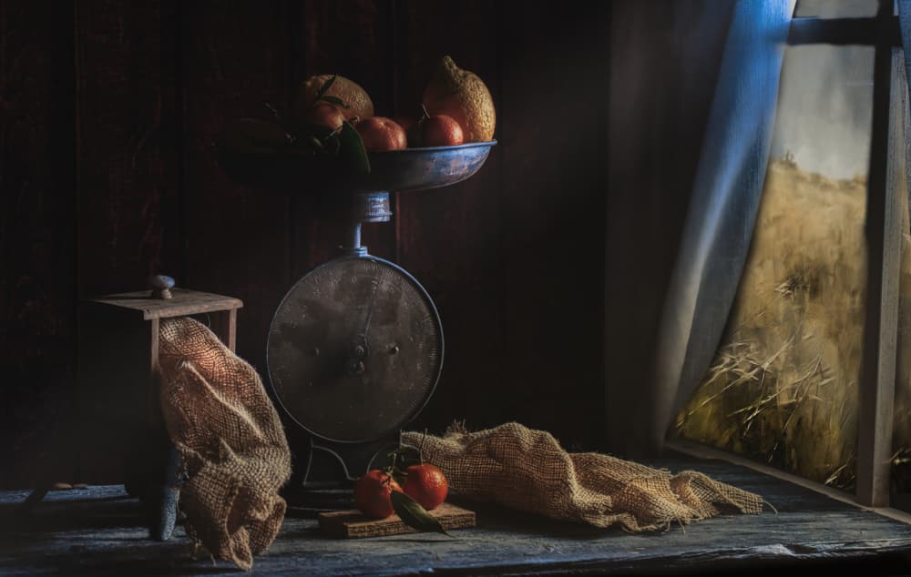Rustic Harvest Still Life by Enrico Sottocorna — canvas wall art