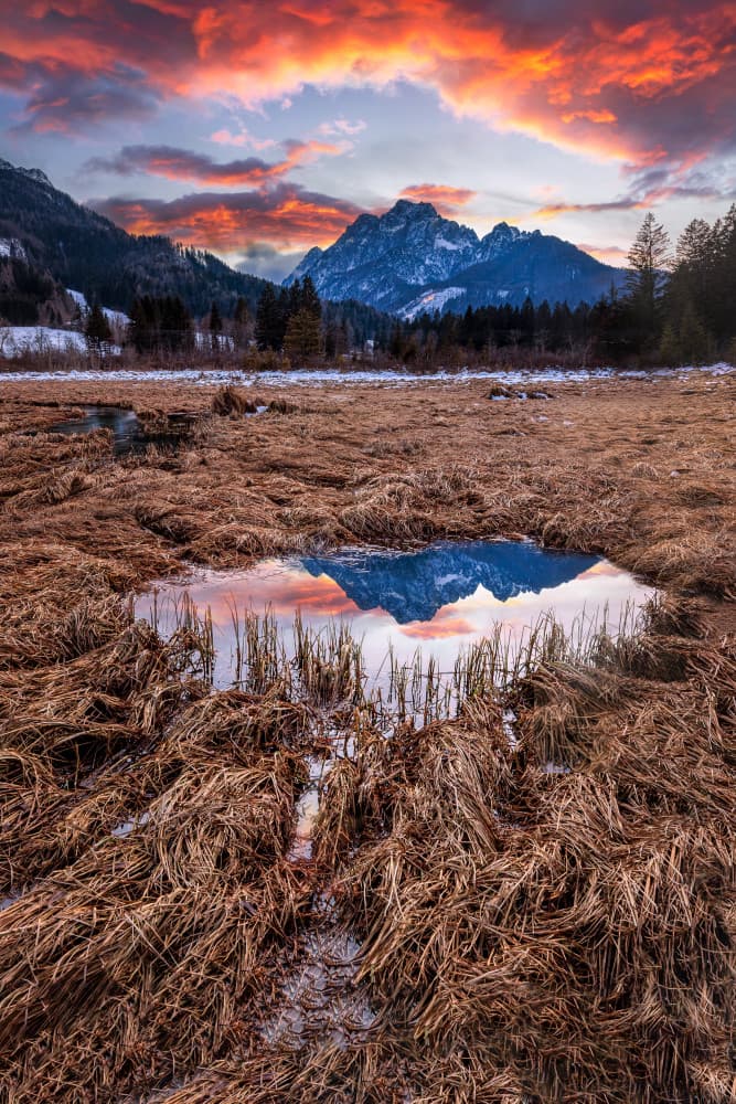 Alpine Sunset Reflection by Bor — canvas wall art