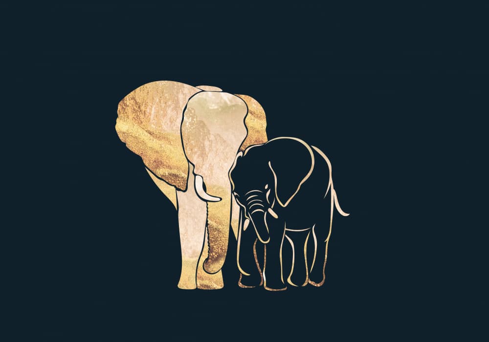 Golden Elephant Family by Sarah Manovski — canvas wall art