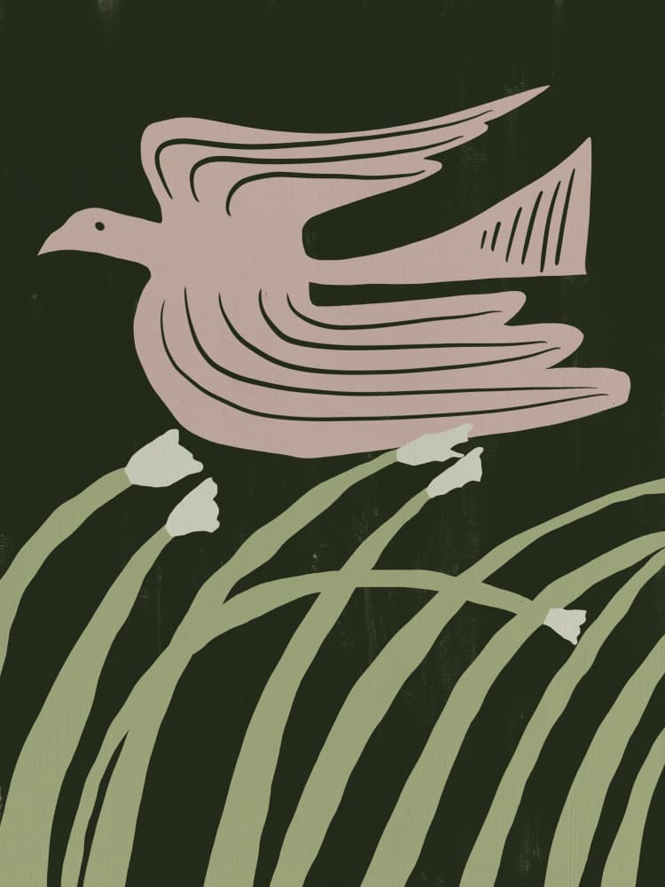 Graceful Dove Over Grass by Little Dean — canvas wall art