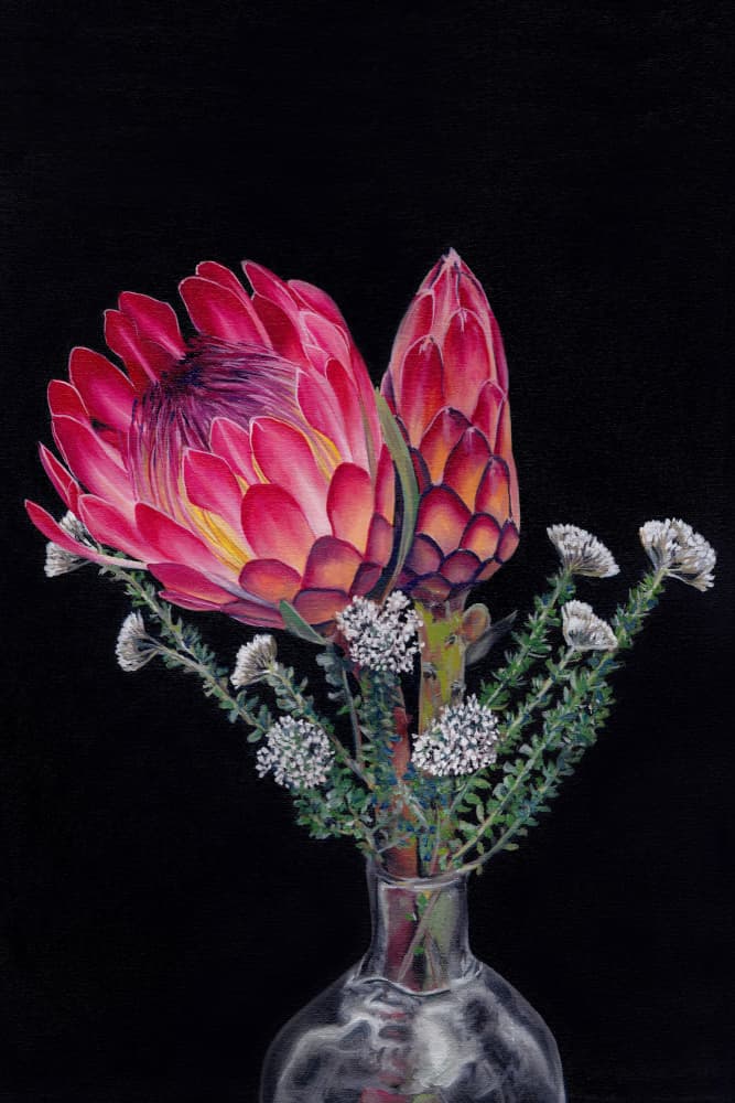 Vibrant Protea Blooms by Viccy Wanliss — canvas wall art