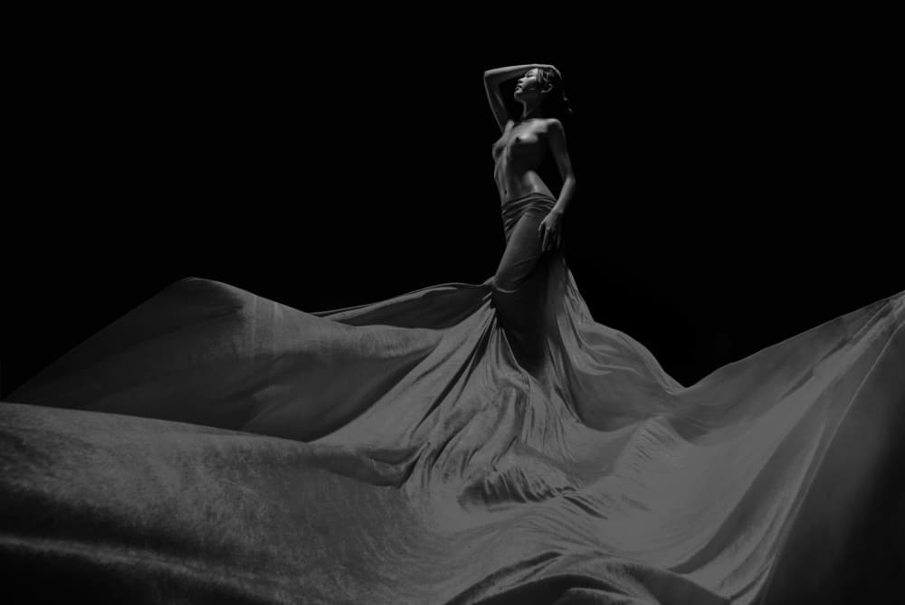 Elegant Flowing Form by Tran Van Truong — canvas wall art