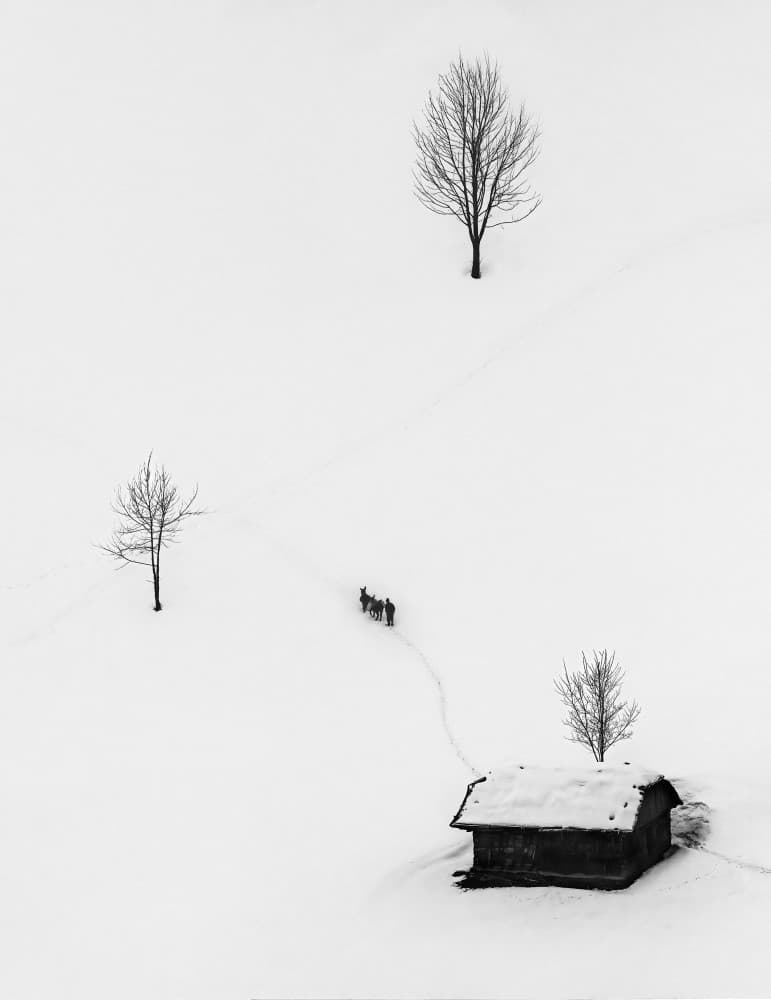 Winter Walk to Cabin by Sebastian Prioteasa — canvas wall art