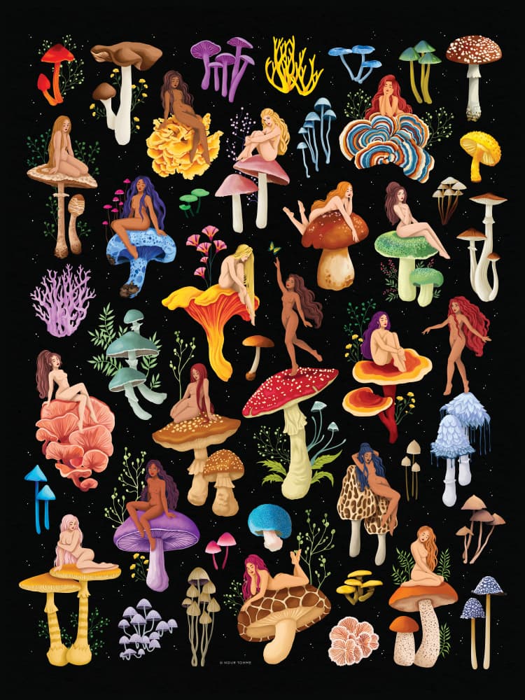 Enchanted Mushroom Nymphs by Nour Tohme — canvas wall art